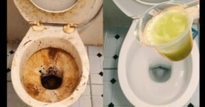 Това ще разбие варовика по-добре от чук: Страхотен домашен ТРИК за пълно почистване на тоалетната! - 12 m de37f410cd55793d393b736d4a03562b