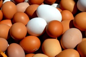 egg 2580904 1280