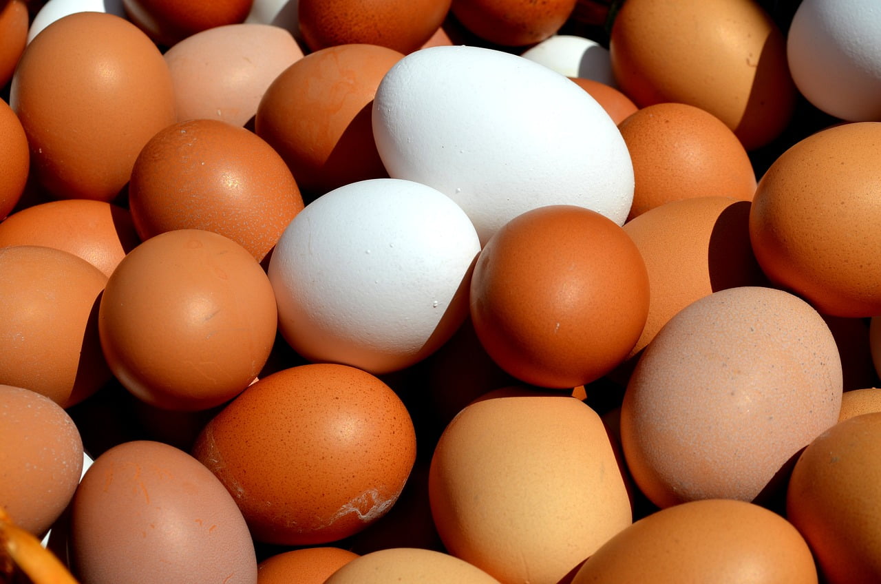 Как да сварим яйцата, без да се счупи нито едно 3 egg 2580904 1280