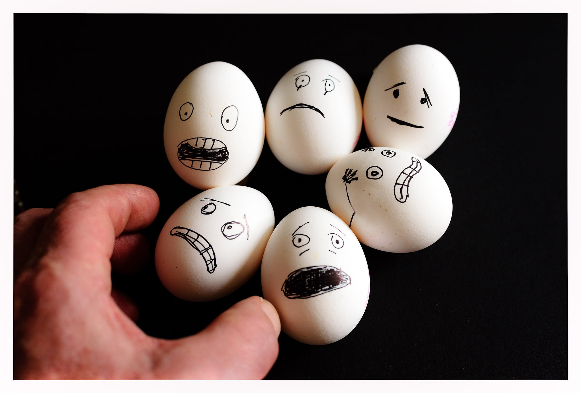 scared eggs 2939061 1920
