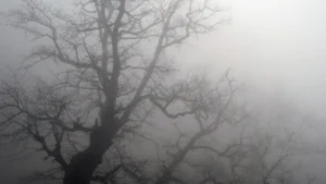 Иде кучи студ, градусите падат до... 19 1726995956 screenshot 2024 09 22 at 12 05 46 fog mgla uikipediya