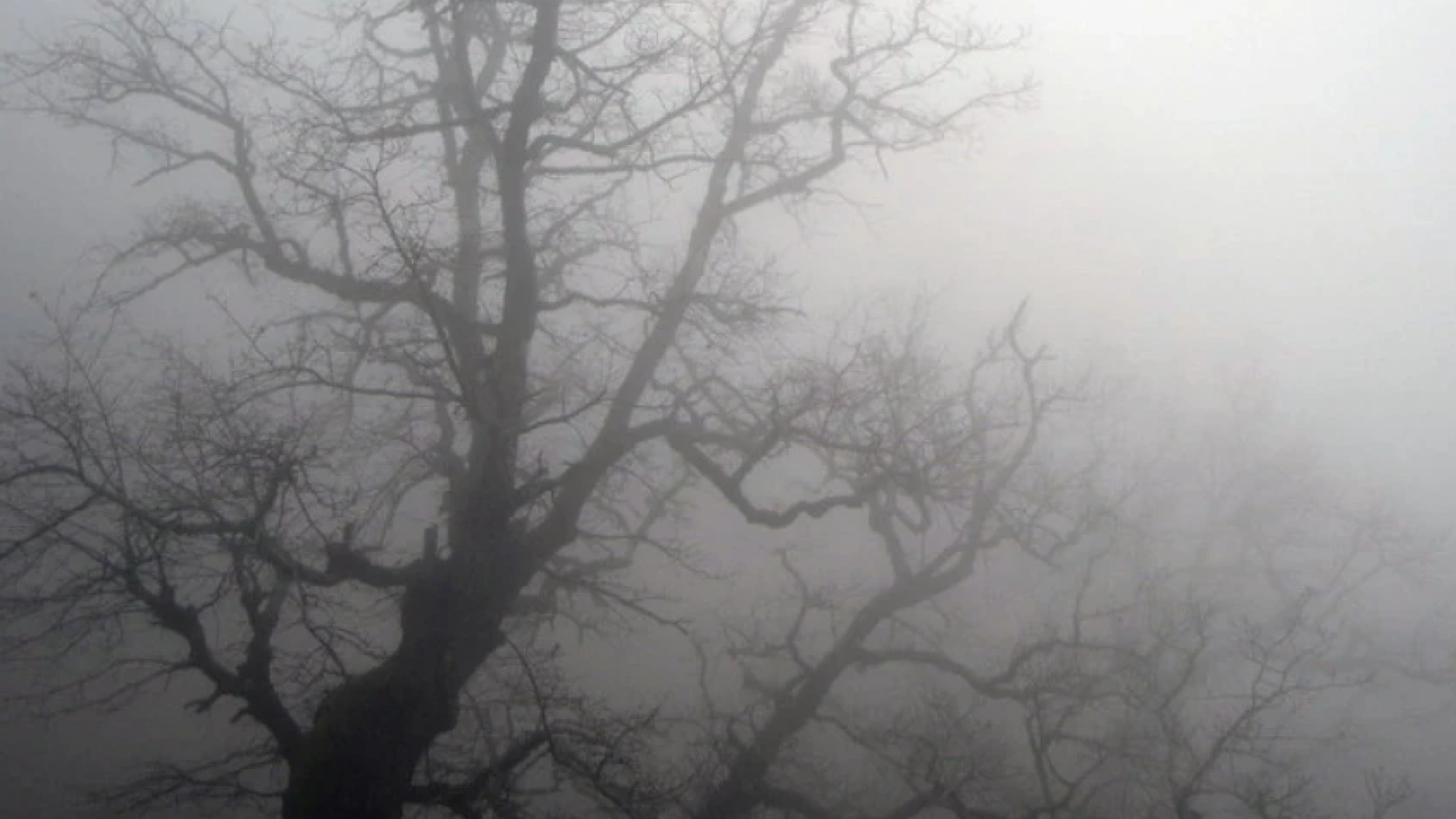 Иде кучи студ, градусите падат до... 3 1726995956 screenshot 2024 09 22 at 12 05 46 fog mgla uikipediya
