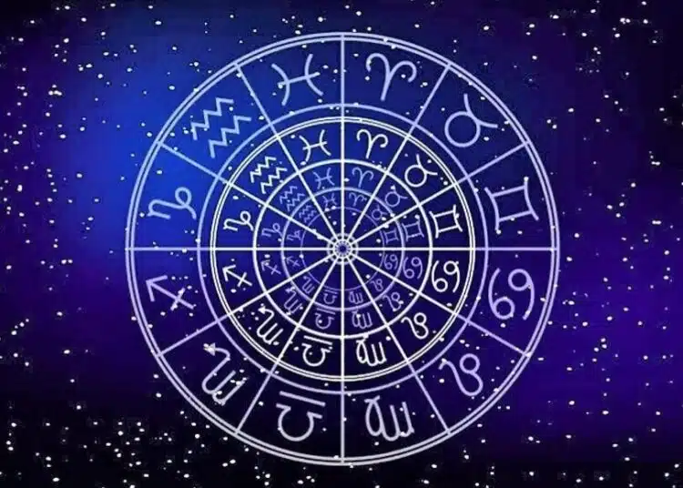 zodii 7