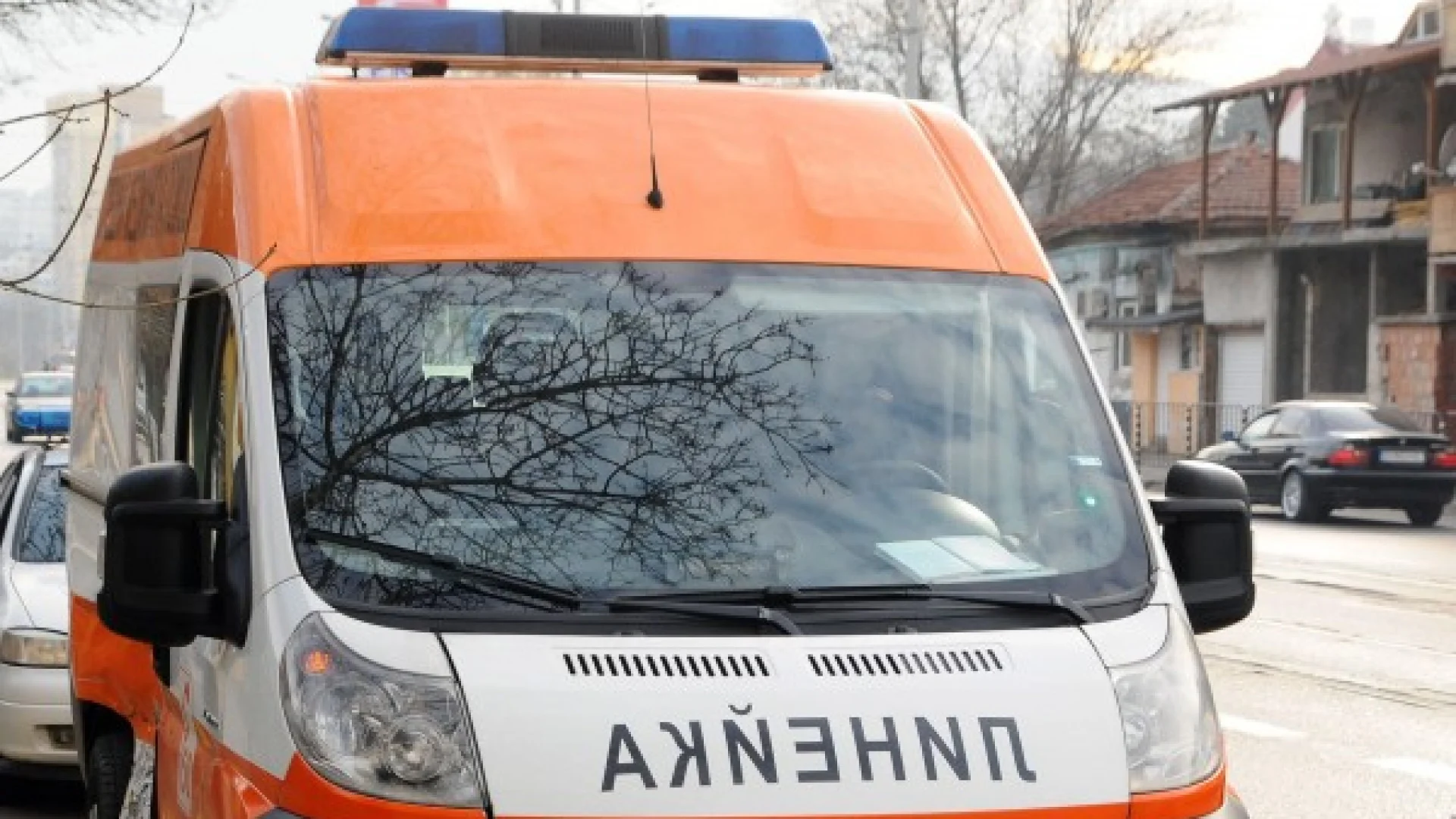 Голяма трагедия в Петрич 3 1659805481 0000383395 article2