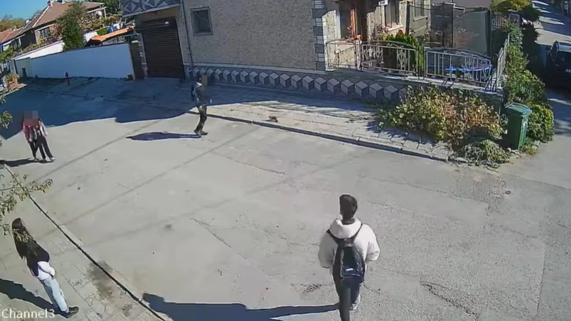 Изрод от малък! Цяла България е потресена от това зверство 3 1729598862 464310062 1025166606287636 189375072053963942 n