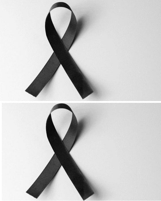9330cadca15e6e419a12f16a4efc64ac