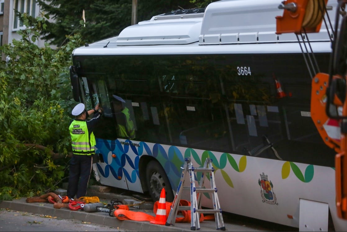 avtobus