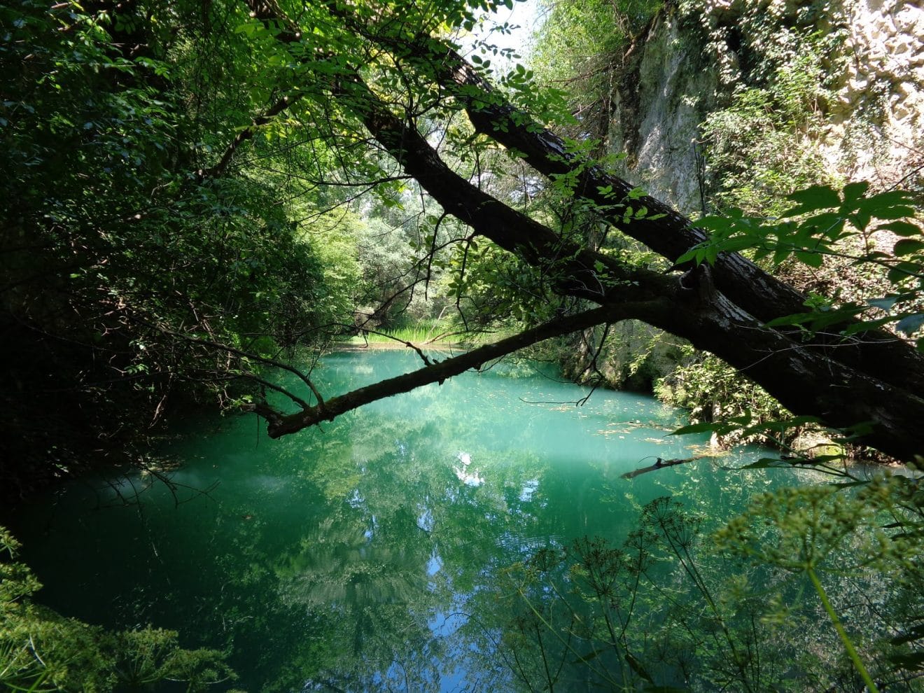izvor glavata2 1320x990 1
