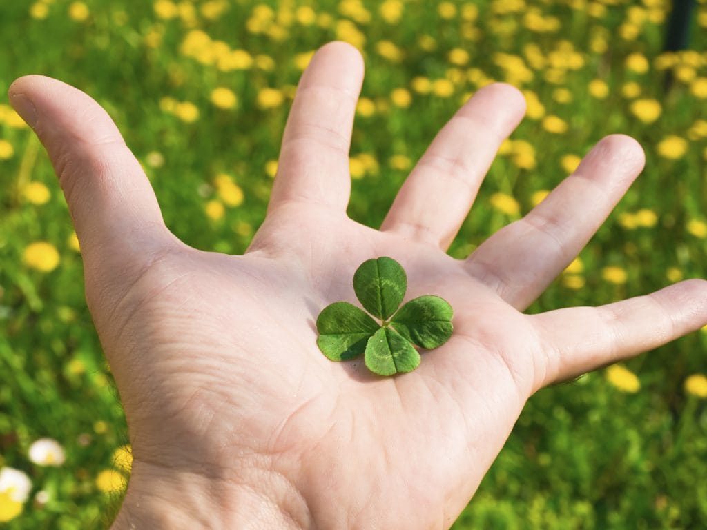 Уникално КЪСМЕТЧЕ дар от съдбата ще зарадва всяка зодия днес 3 lucky clovers 2 1024x768 1