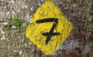 На 7 октомври: Числото 7 ще даде неизчерпаема сила на тези зодии! 51 trail 306638 1280