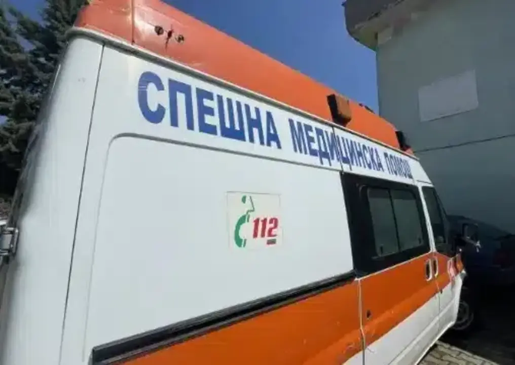lineika 1