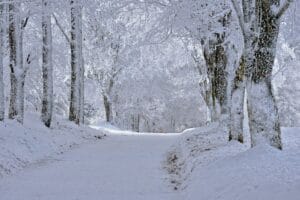 pathway 9187189 1920