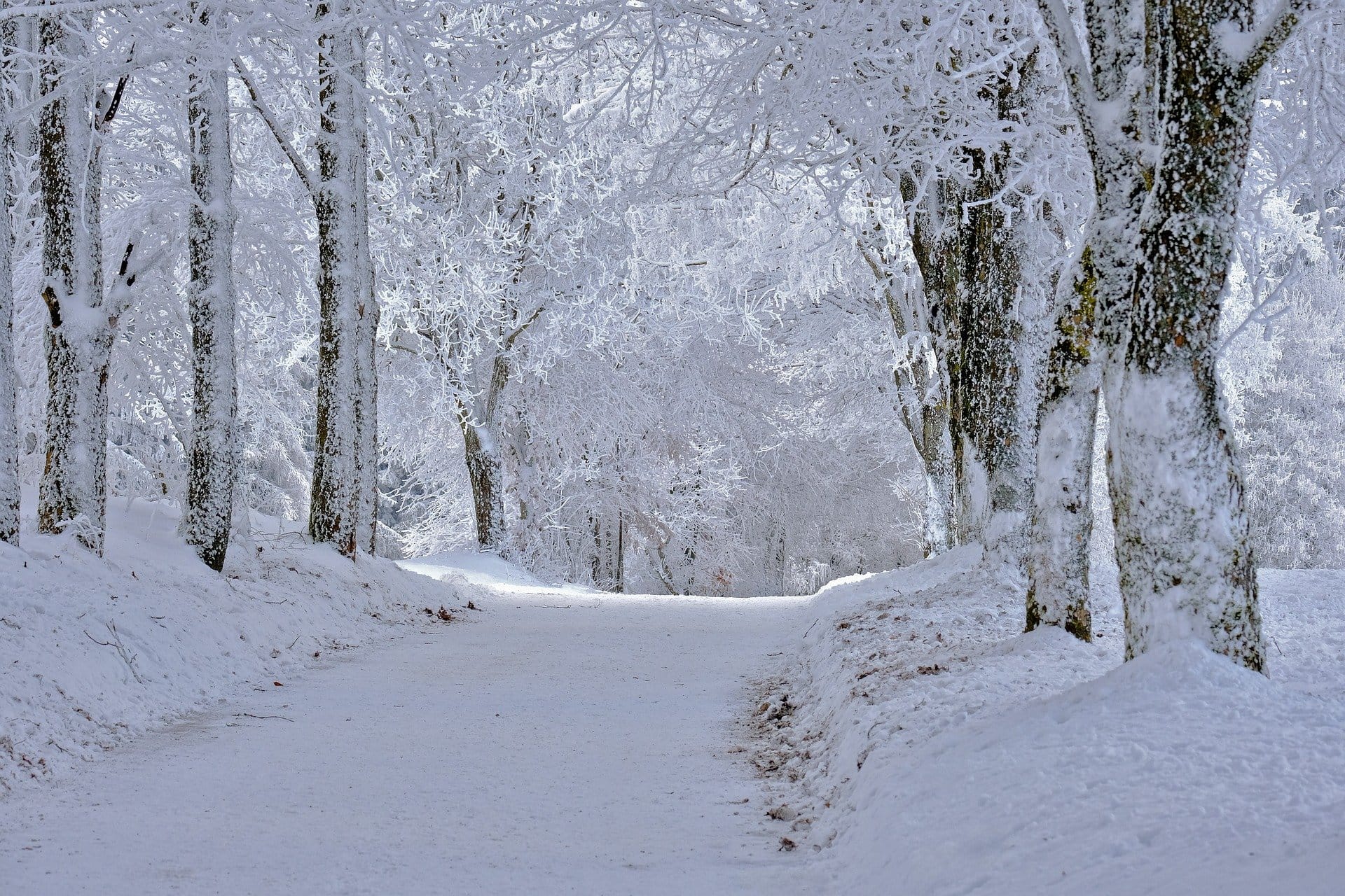 pathway 9187189 1920
