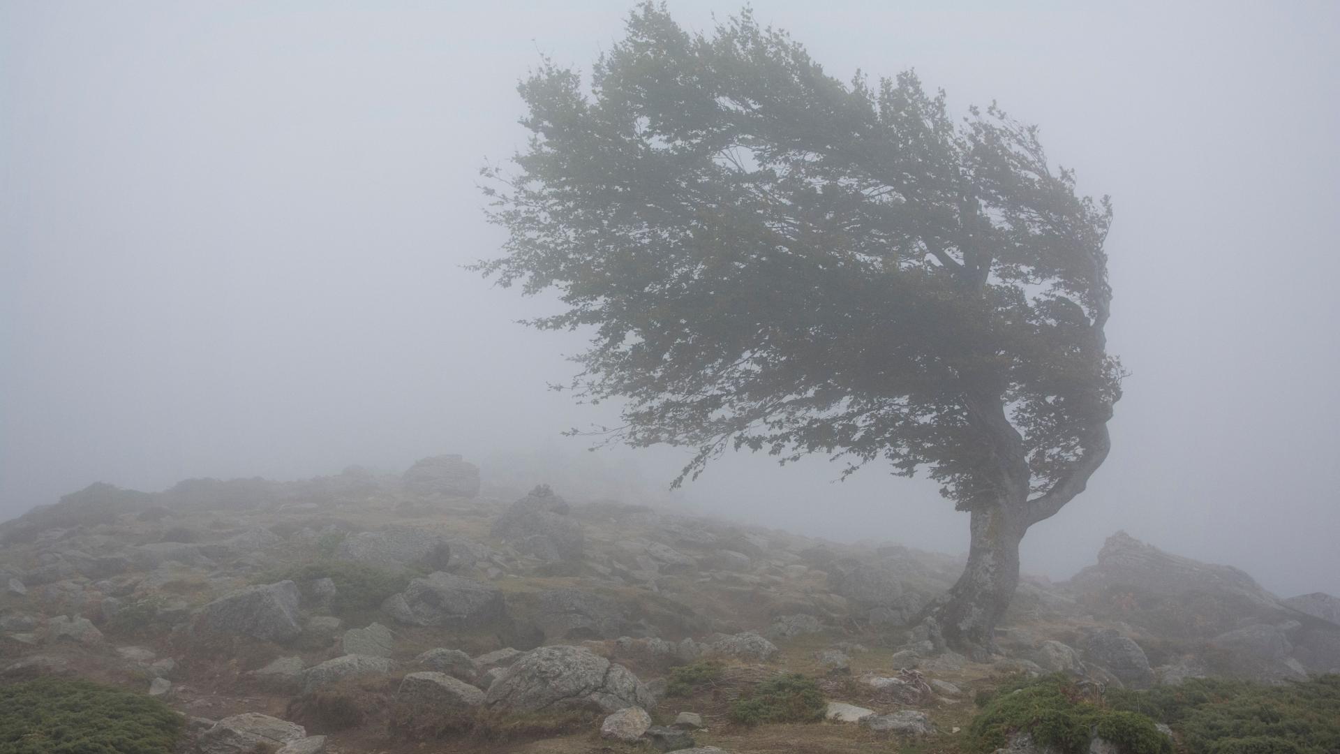 Meteo Balkans бие тревога: Вижте какво идва към България! 5 1920x1080 9
