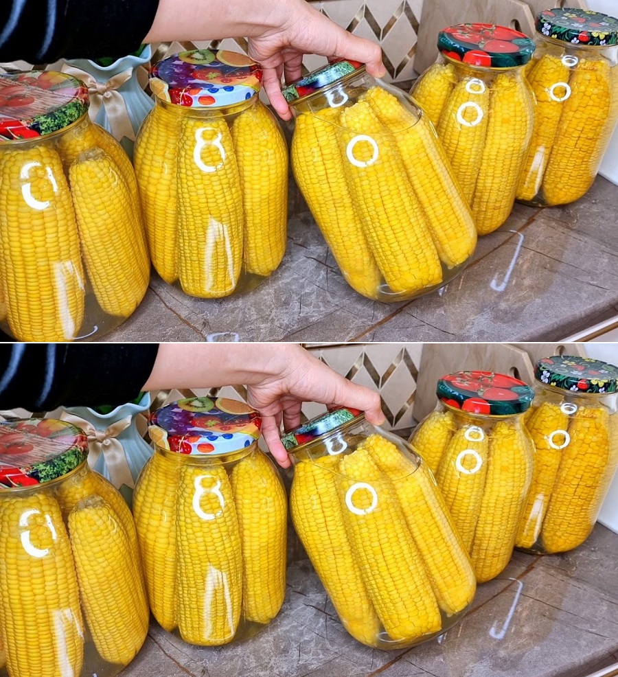 524847121 796284752972447 7879800183791550660 n