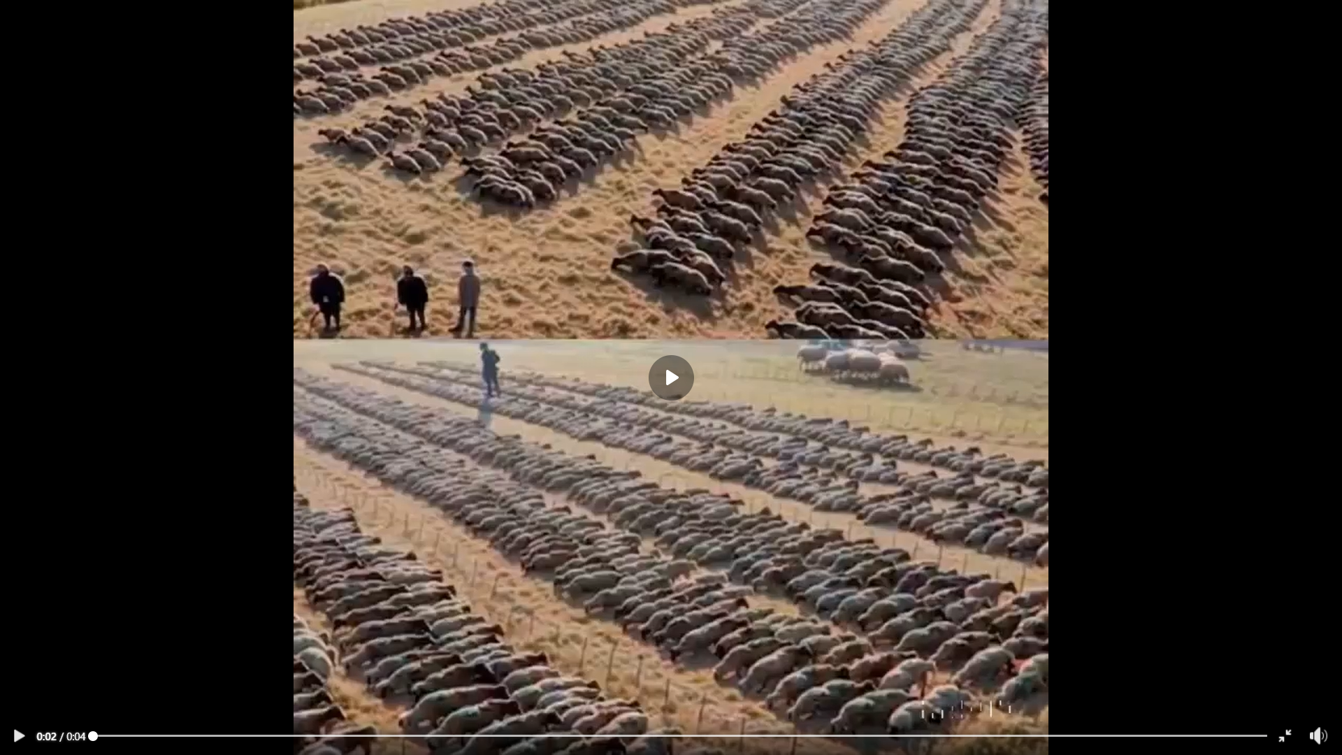 525017218 775499954953302 848345662018323286 n 1