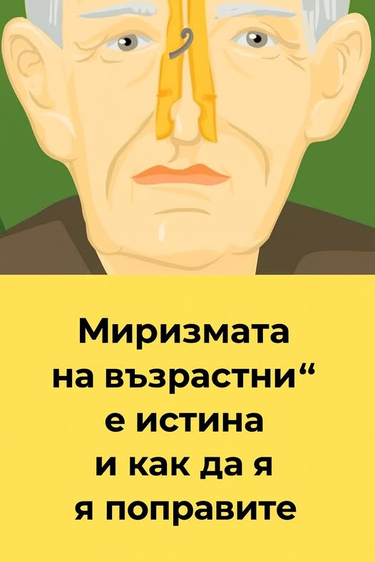 528363607 775501914823043 4677617177057253585 n