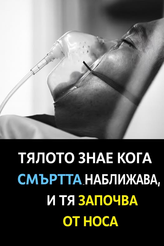 Тялото знае ... 👇 3 533059224 783514890688412 1051145273582773881 n