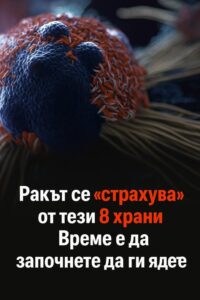 Ракът се "страхува"от тези 8 храни. 👇 54 538181255 790436713329563 9043285396037363764 n