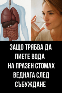Защо трябва да пиете вода на празен стомах веднага след събуждане 👇 36 2f6add86 b097 4be8 bd89 dd47429c5c40