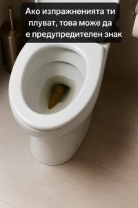 Ако изпражненията ти плуват, това може да е предупредителен знак за… 👇 14 557610041 818414240531810 5298283252231326779 n