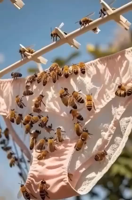 БЪДЕТЕ ВНИМАТЕЛНИ, 🐝🐝 ако забележите това в бельото си, това означава, че имате Ка… вижте още 3 videoframe 0 4 2