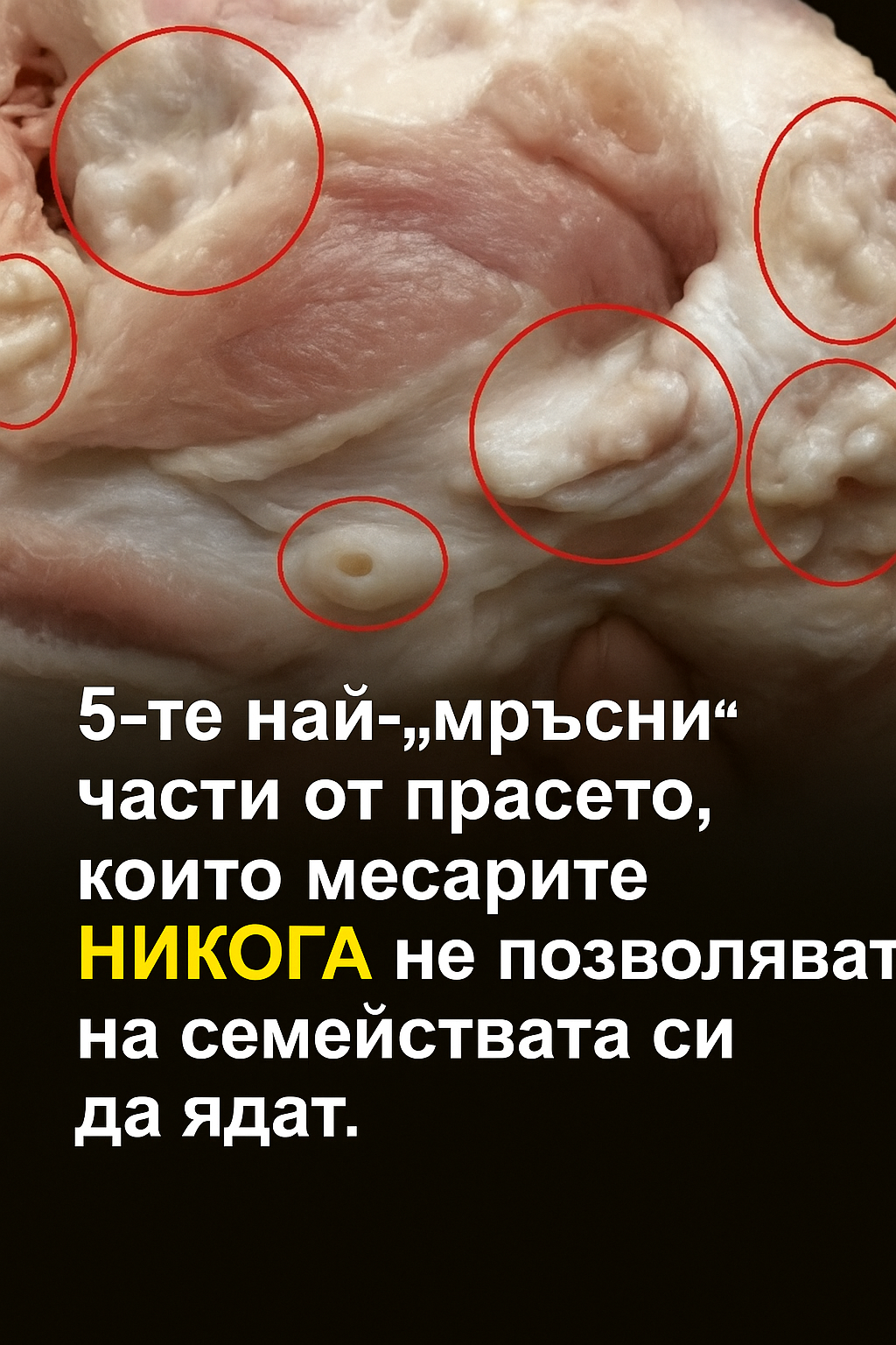 efea69ef a9b8 46f1 b9e5 f19e55ab42da