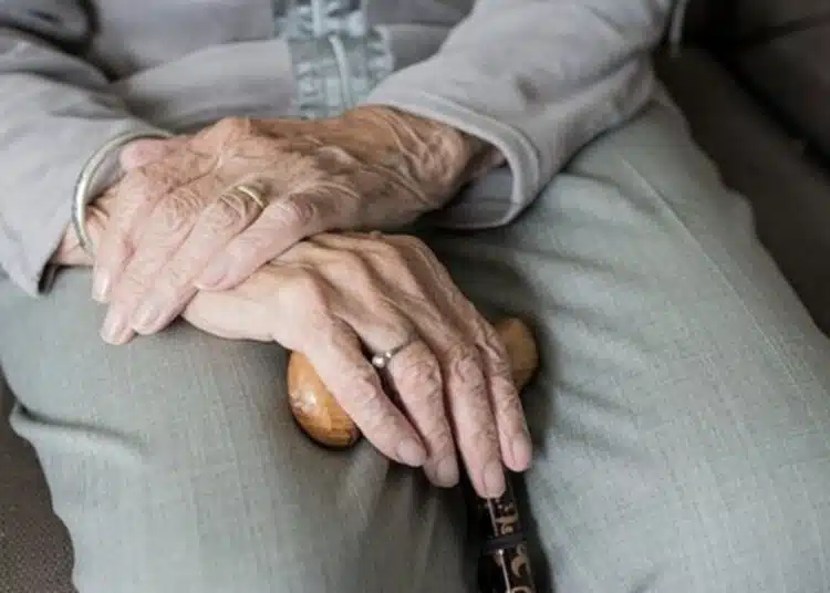 pensioneri