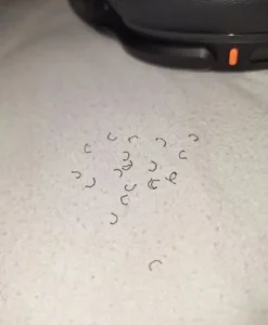 504517555 729408736099028 434334927033539409 n.jpg