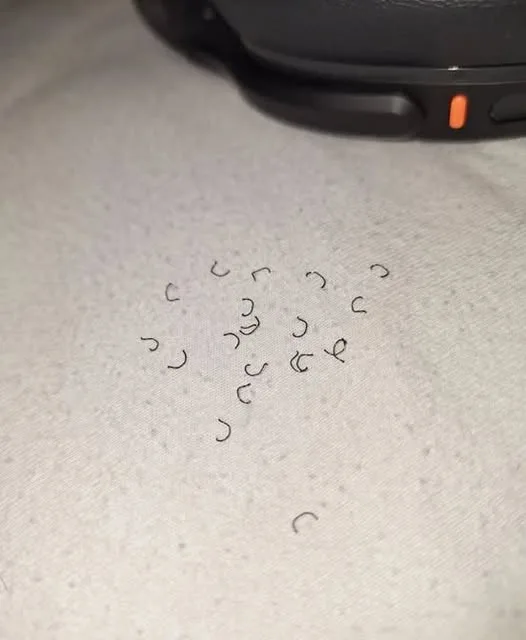 504517555 729408736099028 434334927033539409 n.jpg