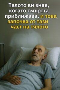 584755216 122172795212593989 9181634231715444435 n