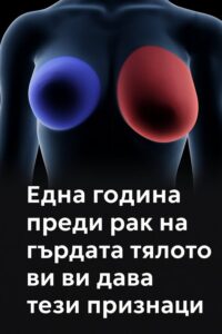 591252843 122173742858593989 9004646033971372069 n