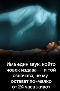 task 01k9mck6qpf70tpe475xd97fv3 1762694757 img 0