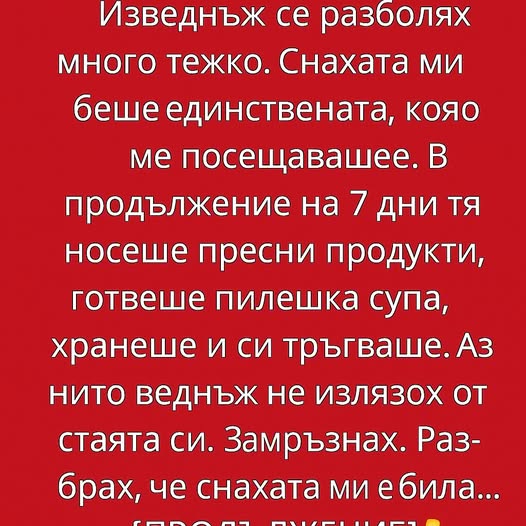 Изведнъж се разболях много тежко. Снахата ми беше единствената, която ме посещаваше. 👇 3 600266089 122176313012593989 7421321606443090388 n