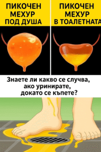 Ако уринирате под душа, бъдете внимателни — трябва да знаете, че… 50 88a1d3bf a37e 4f2d 9822 2faedd7a8e23