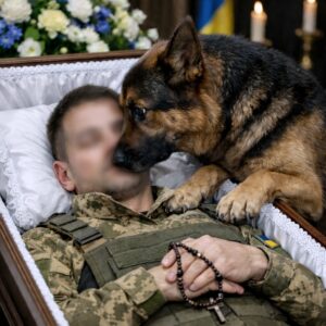 Немска овчарка отказа да се отдели от ковчега – а после внезапно започна да лае, а видяното след миг накара тълпата да крещи от ужас… 😲😲😲 20 625792167 932376599362311 618841