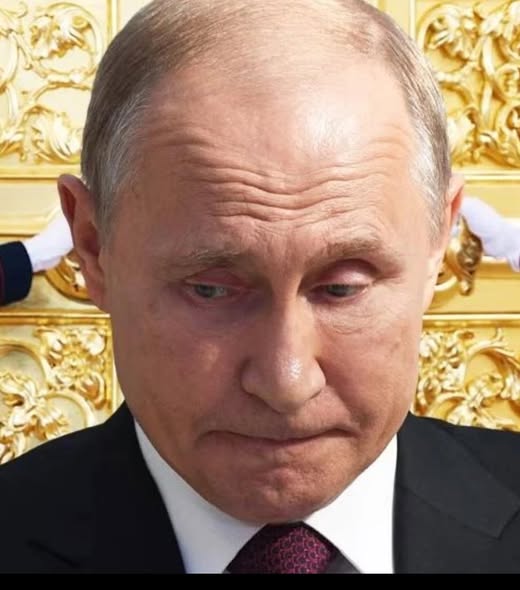 Путин смълча света, готви.. - ВИЖ в първи коментар 👇👇 3 493207199 749299124336803 1477667472673879973 n