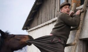 Старец се качи по стълбата, за да махне сухите клони от покрива… но в този момент конят захапа панталона му и го дръпна рязко надолу 😲 14 buyan glavni